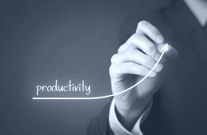 Mindset de Sucesso: Potencializando sua Performance